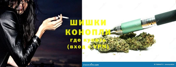 прущая мука Арсеньев