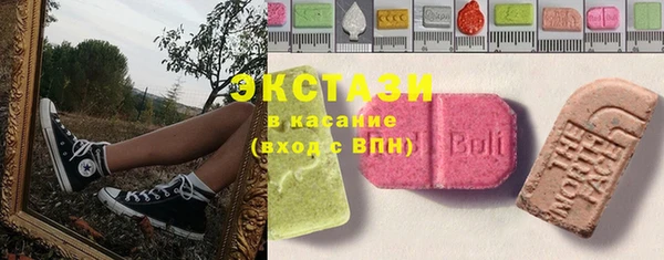 стаф Алзамай