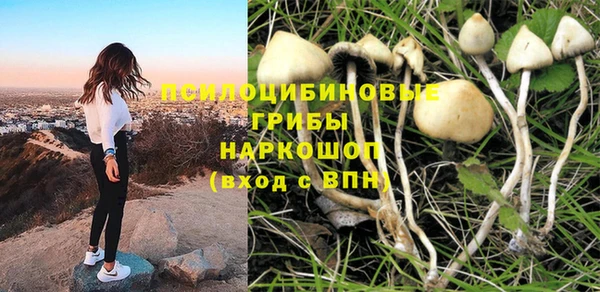 мяу мяу мука Алексин
