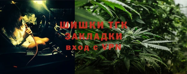 прущая мука Арсеньев