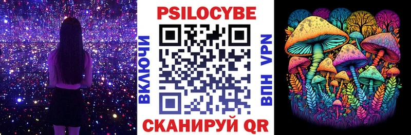 дарк нет клад  где купить наркотик  Куйбышев  Псилоцибиновые грибы Cubensis 
