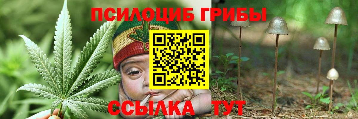 Куйбышев  Галлюциногенные грибы мицелий  Вход с VPN 